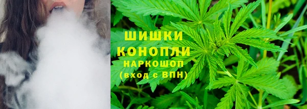 дживик Новокубанск